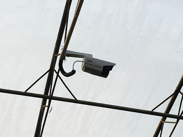 農(nóng)業(yè)園區(qū)大棚內(nèi)安裝監(jiān)控